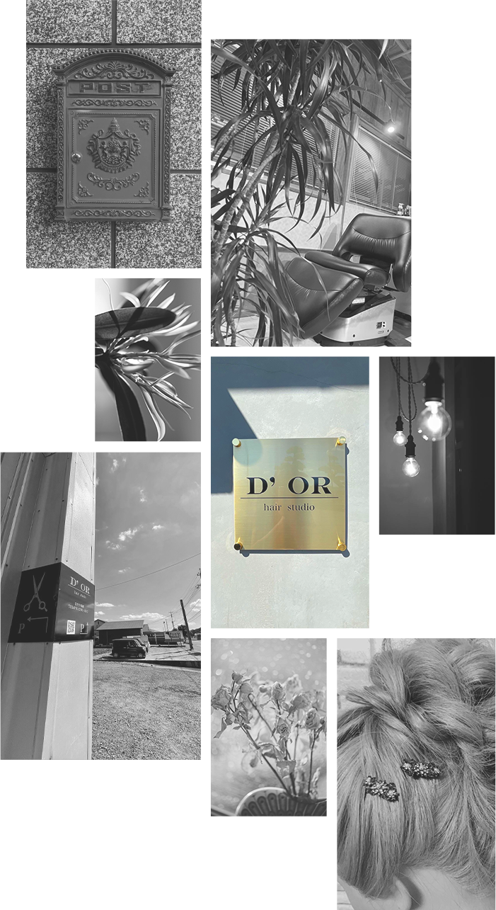 D’OR hair studio